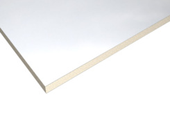 Panel PES 20x6400x2400 RAL9010